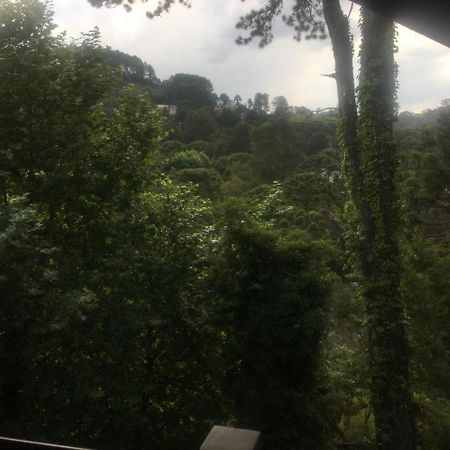Aqui A Vida E Bella Lägenhet Campos do Jordão Exteriör bild