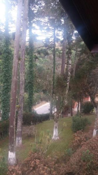 Aqui A Vida E Bella Lägenhet Campos do Jordão Exteriör bild